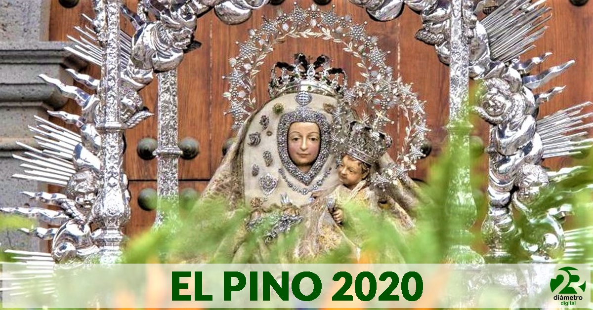 EL PINO 2020 | Teror