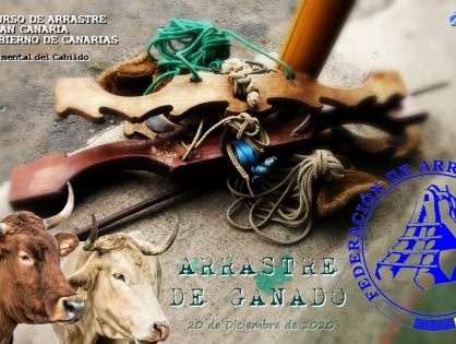 FINAL ARRASTRE DE GANADO | Isla de Gran Canaria