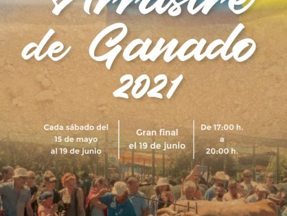 ARRASTRE DE GANADO ISLA DE LA PALMA