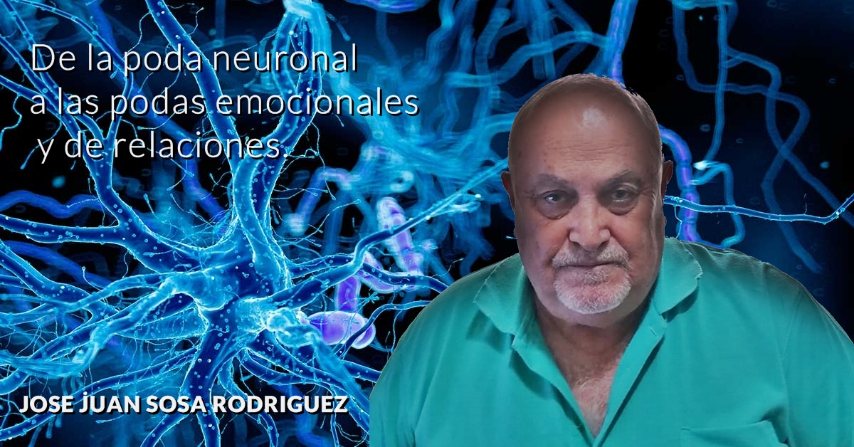 JOSE JUAN SOSA RODRIGUEZ | De la poda neuronal a las podas emocionales y de relaciones.